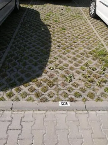 Apartament C29 Kolobrzeg Apartment